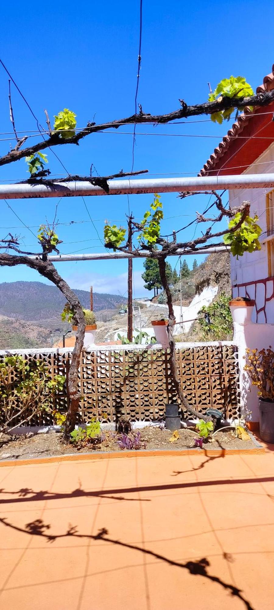 Casa Cueva Rural Trebola, Artenara Juncalillo 외부 사진